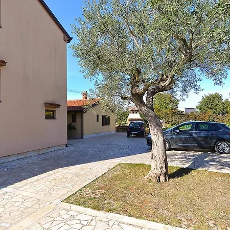 Apartament Ana 379